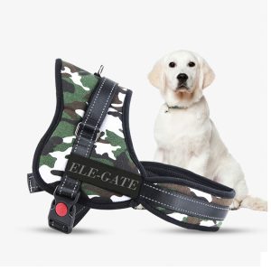 Pechera para Perros Pequeños – Talla S