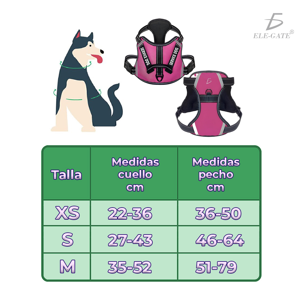 Arnés para Perro Cómodo y Ajustable con Asa y Chaleco Reflectante - Imagen 2