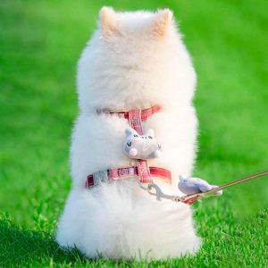 Arnés Cute Antiescape Ajustable para Mascotas – Paseos Seguros