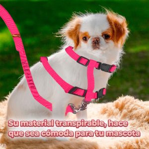 Arnés con Correa para Gatos en Talle Medio – Colores Variados